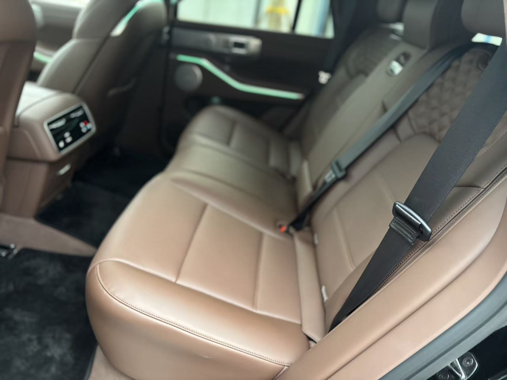 Tank 700 New Energy 2024 immagine di auto #15