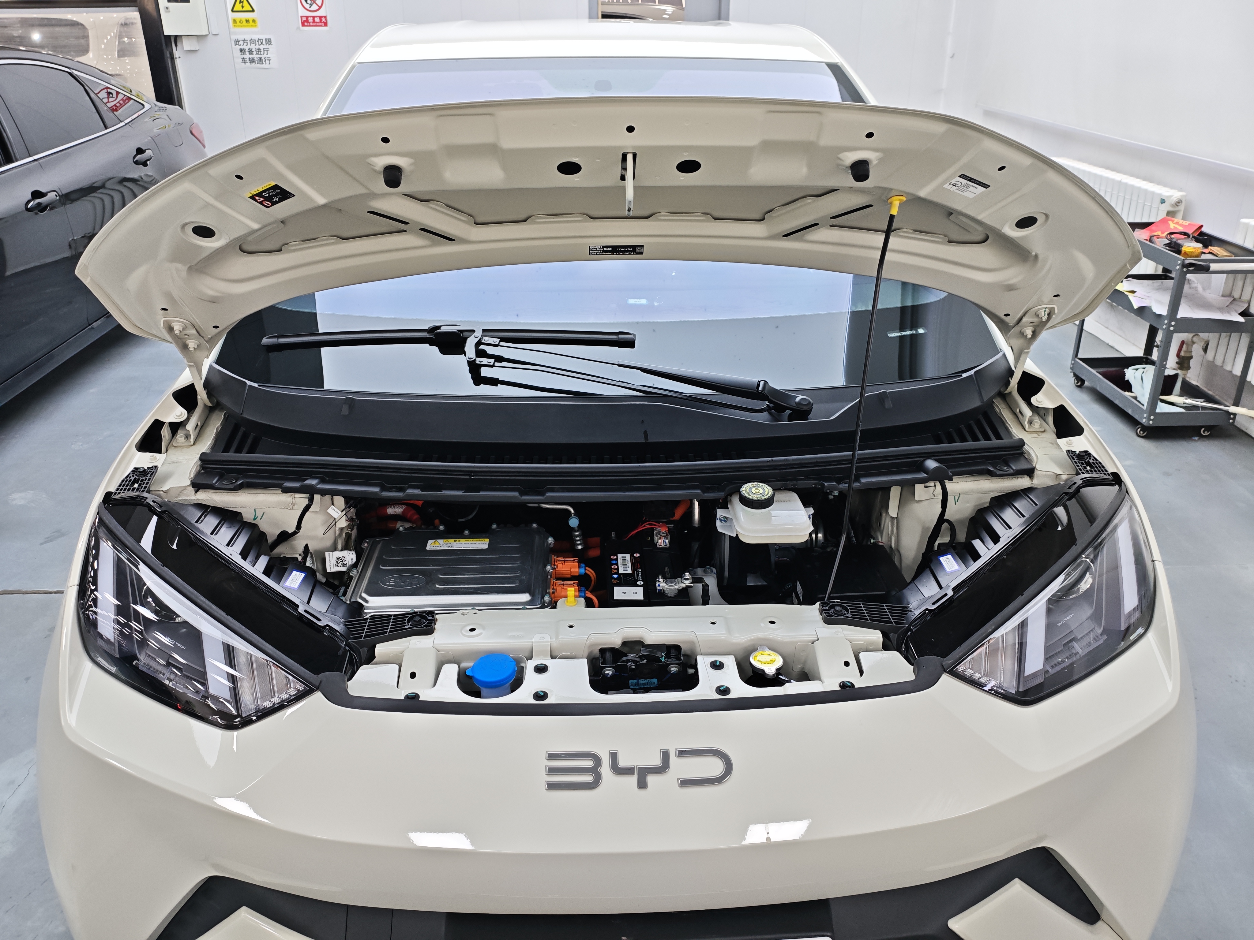 BYD Seagull 2024 صورة سيارة #15