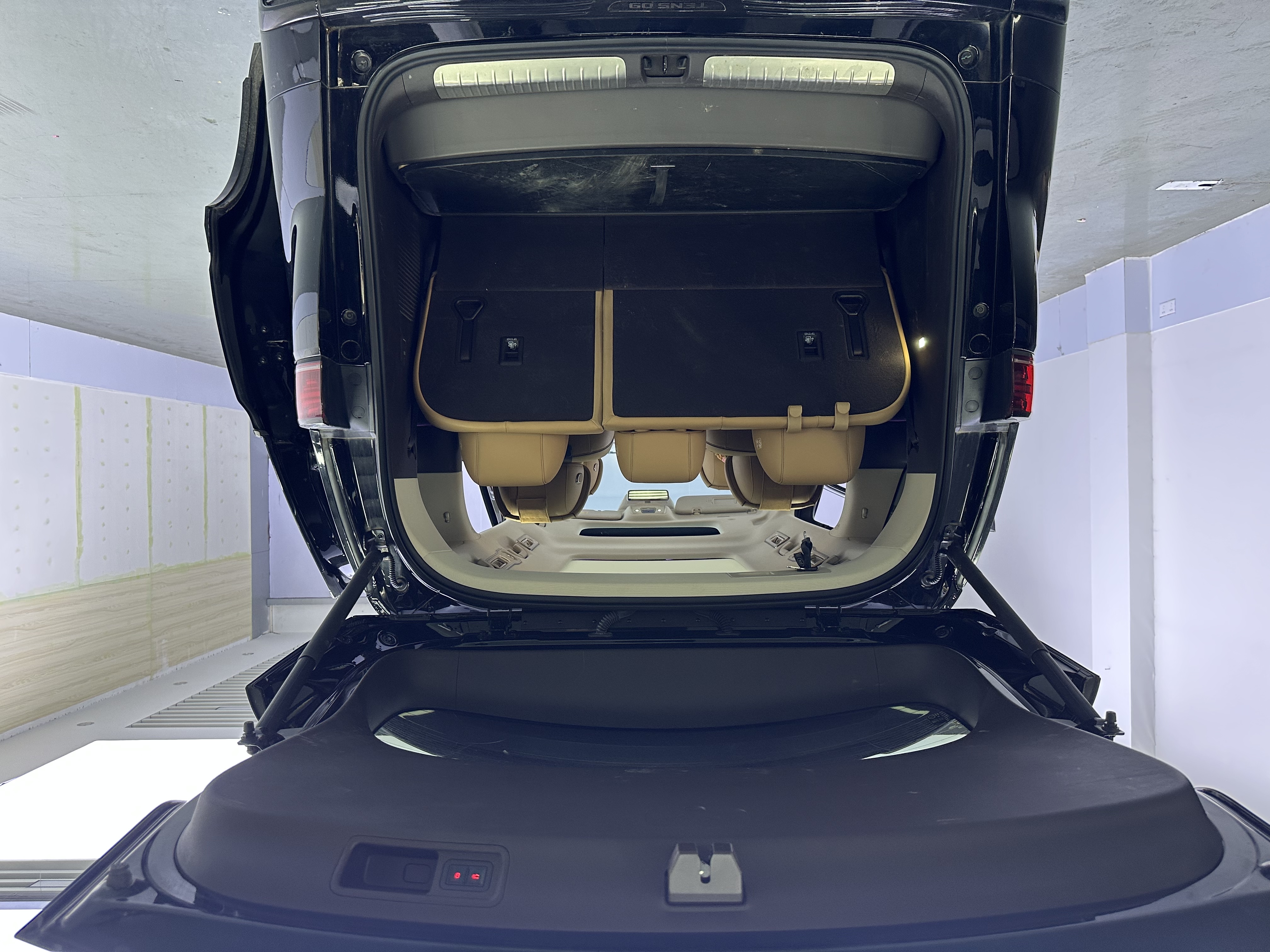 Denza D9 2024 imagem de carro #15