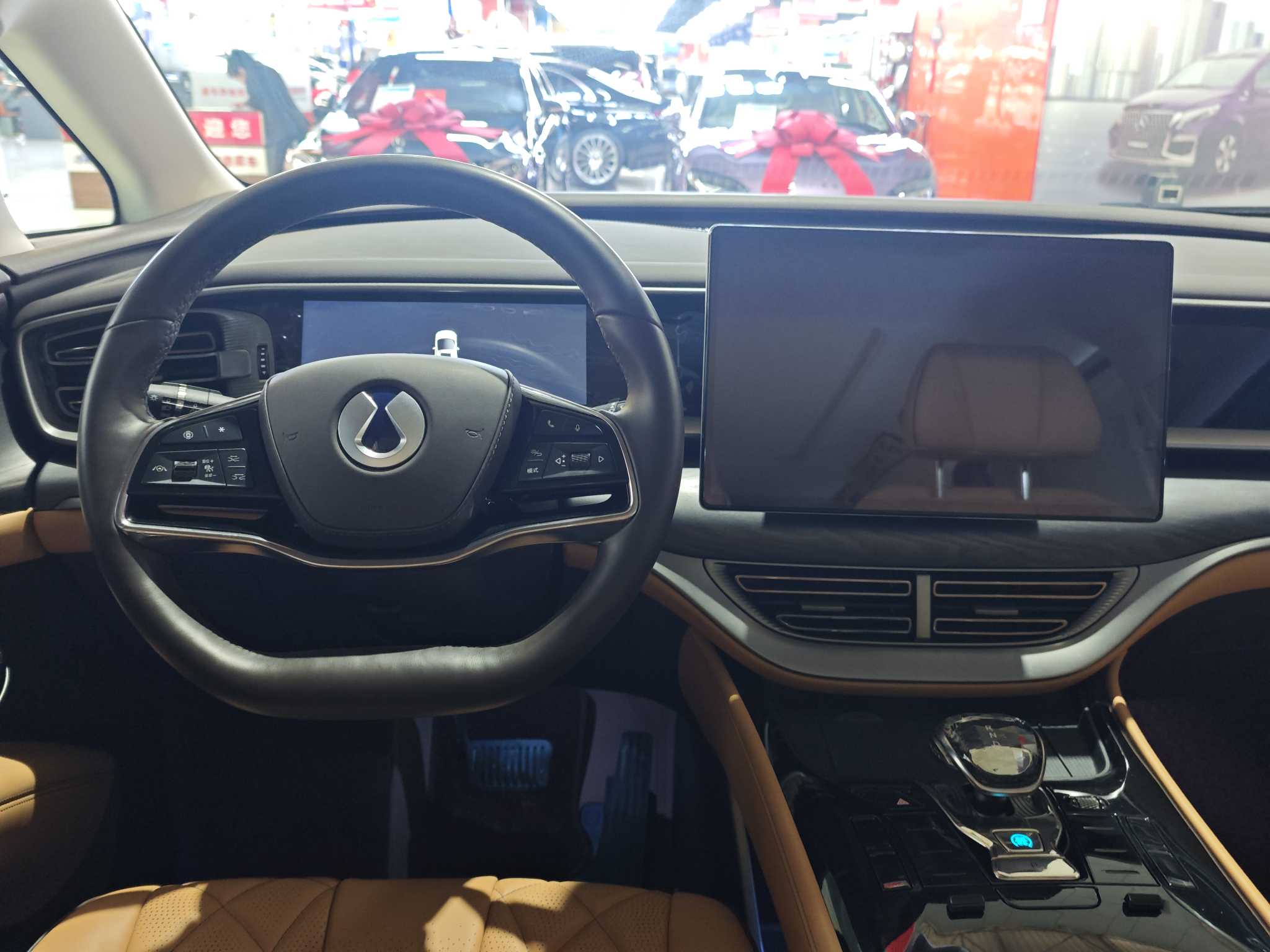 Denza D9 2025 imagem de carro #15