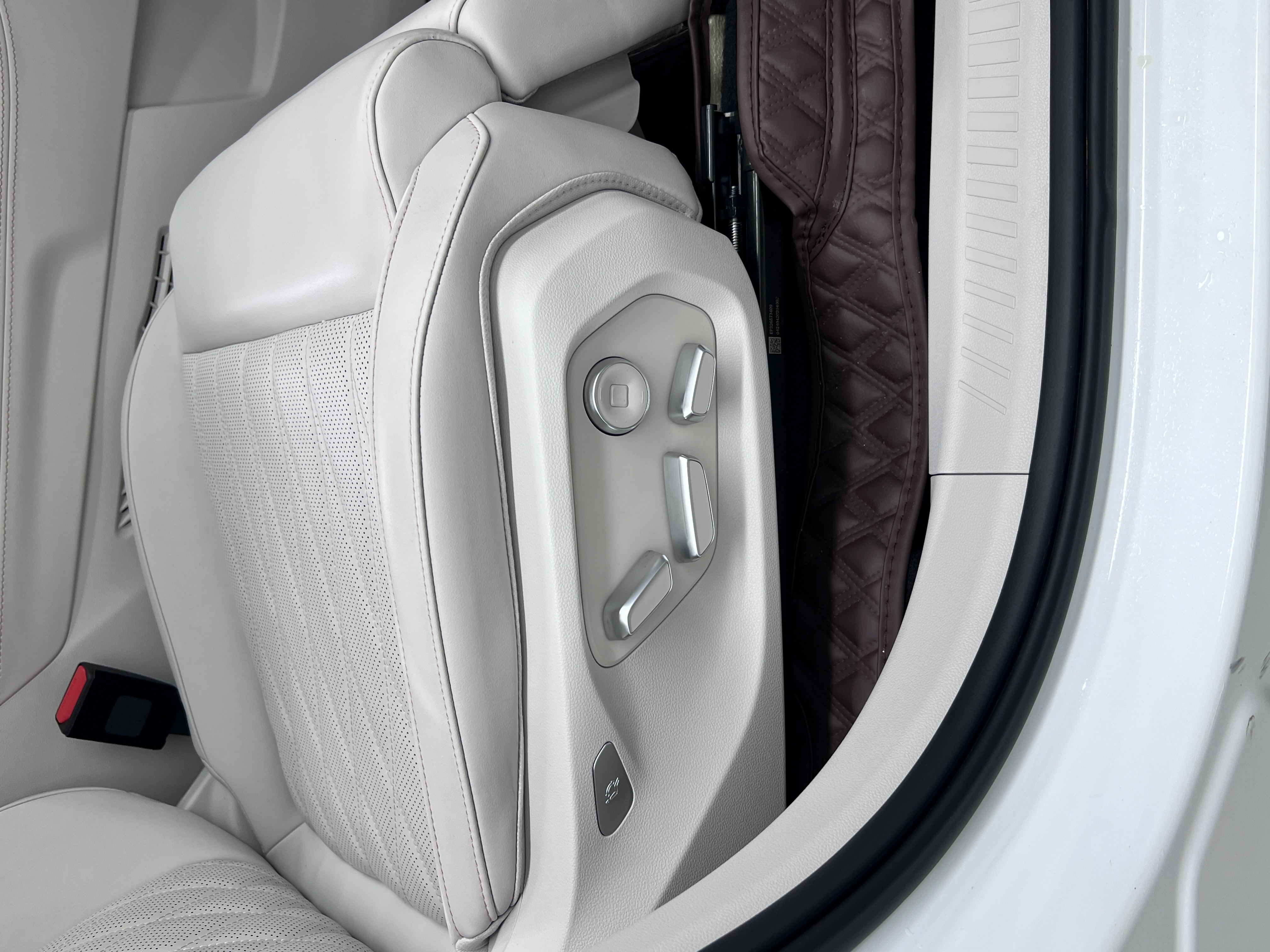 Neta L 2024 imagen de coche #15