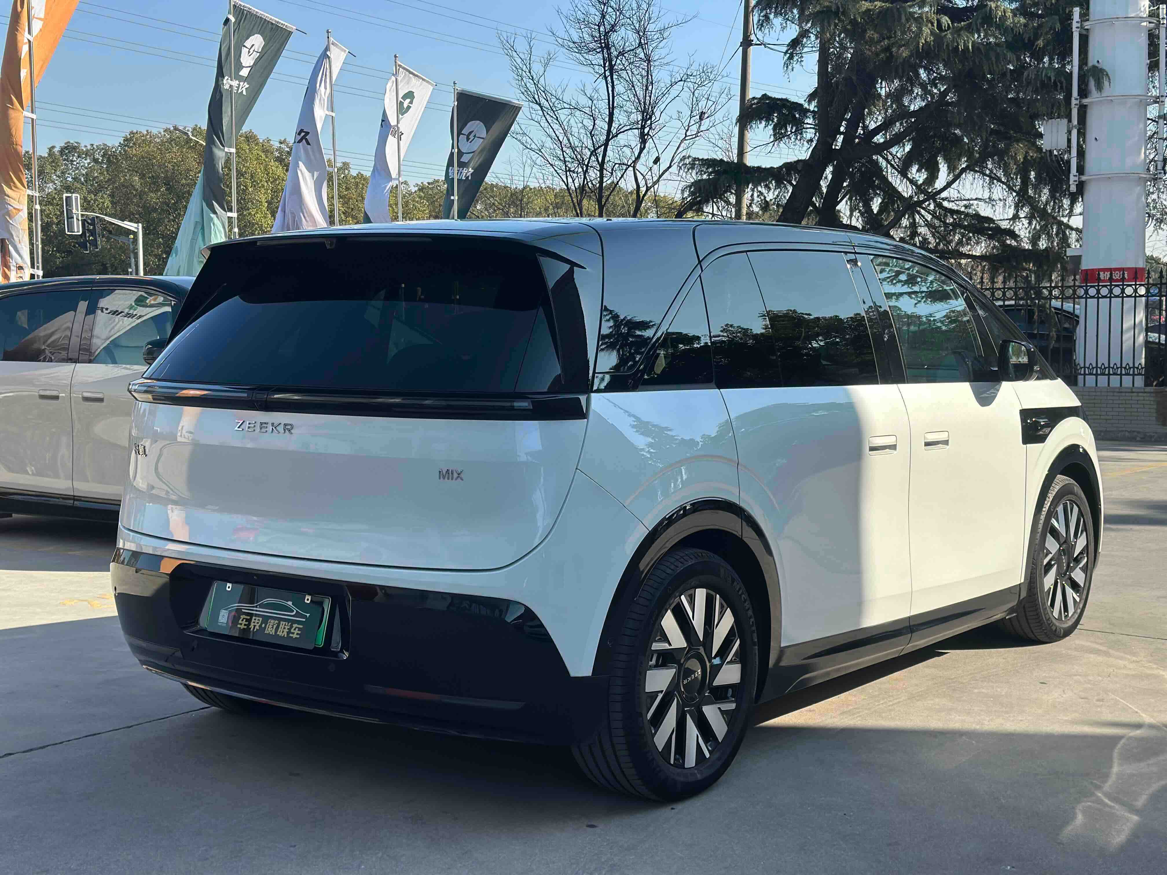 极氪 极氪MIX 2024 汽车图片 #15