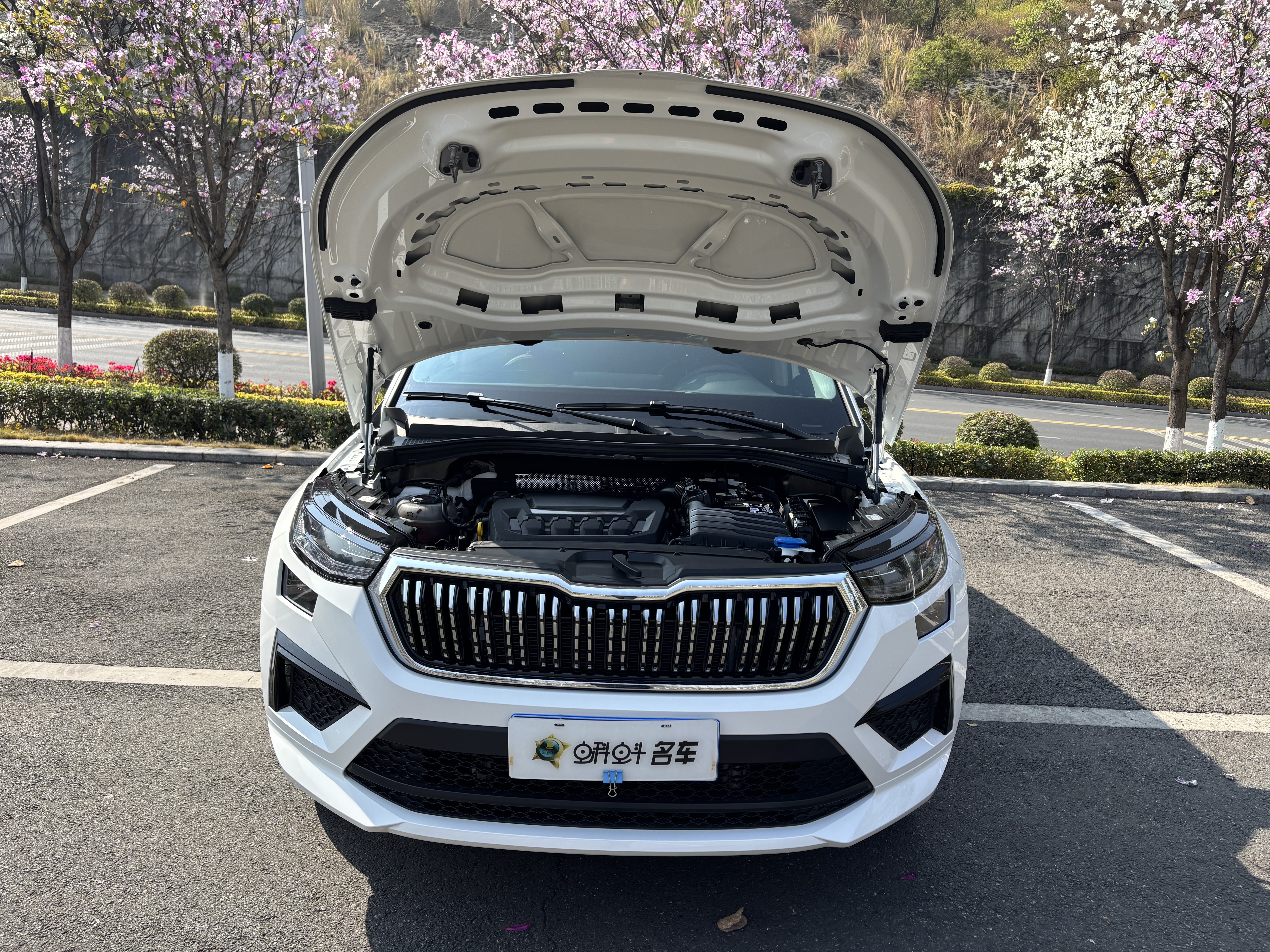 Skoda Kodiaq 2025 صورة سيارة #15