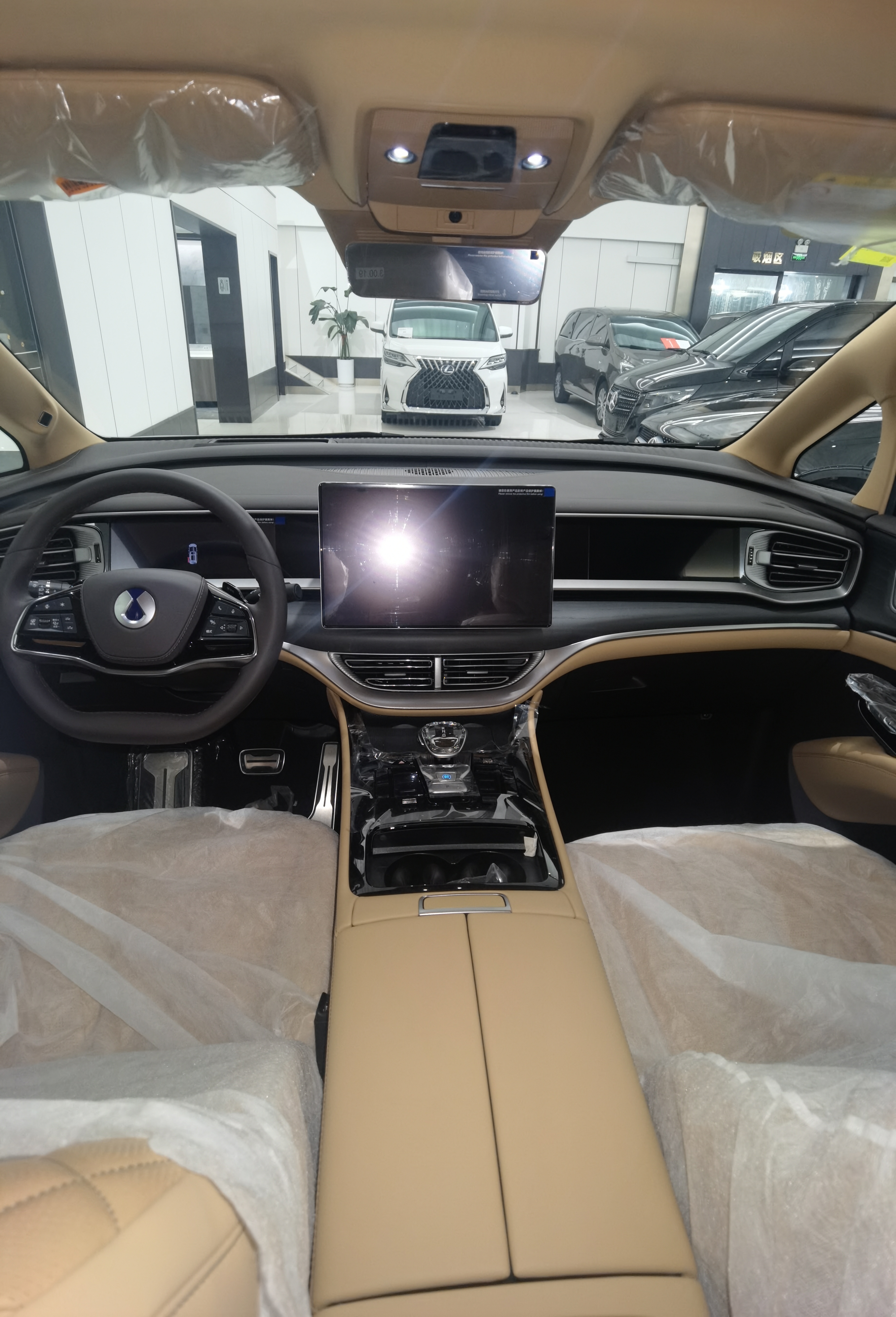 Denza D9 2025 imagen de coche #15