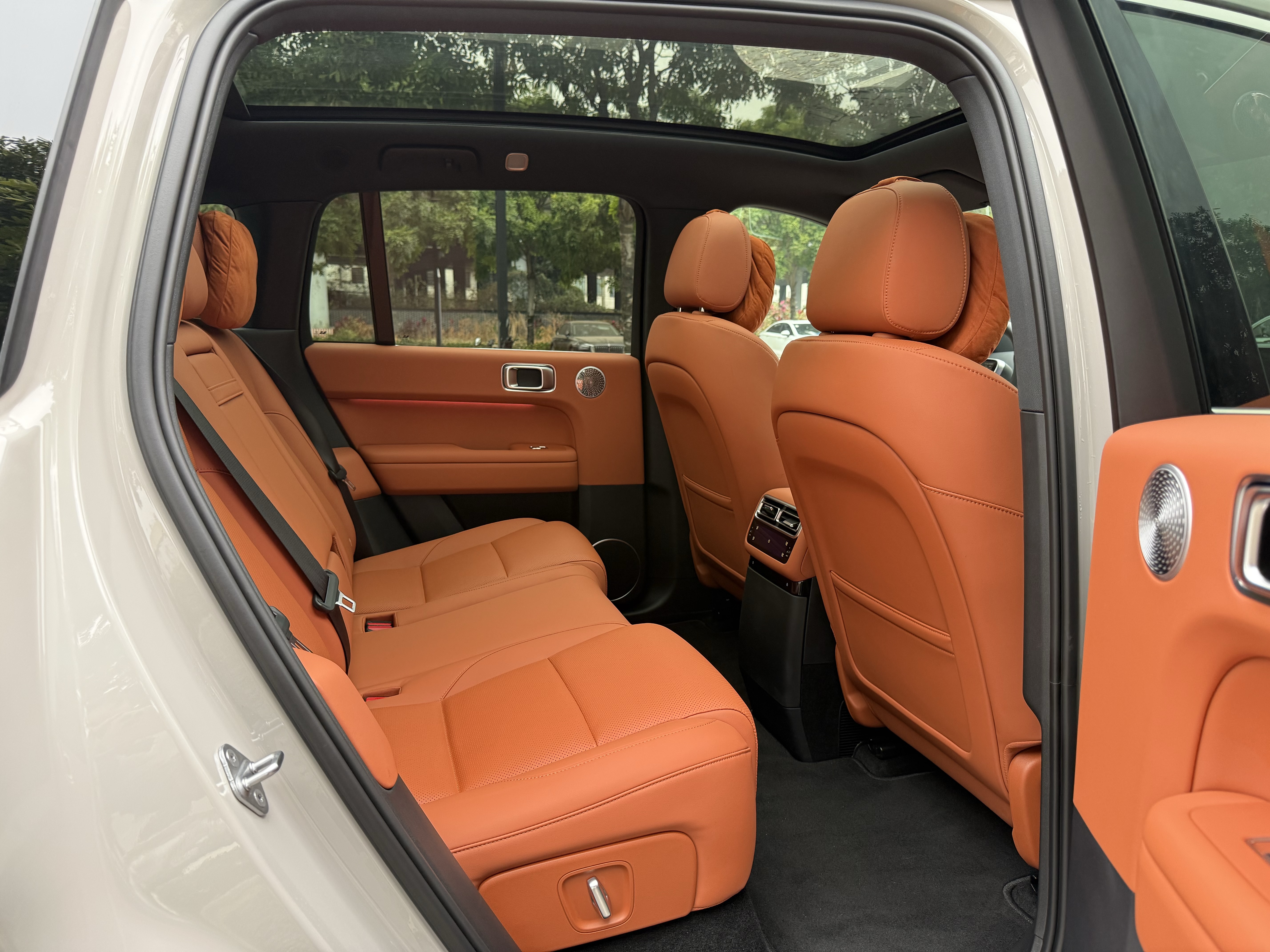 Li L6 2025 imagem de carro #15