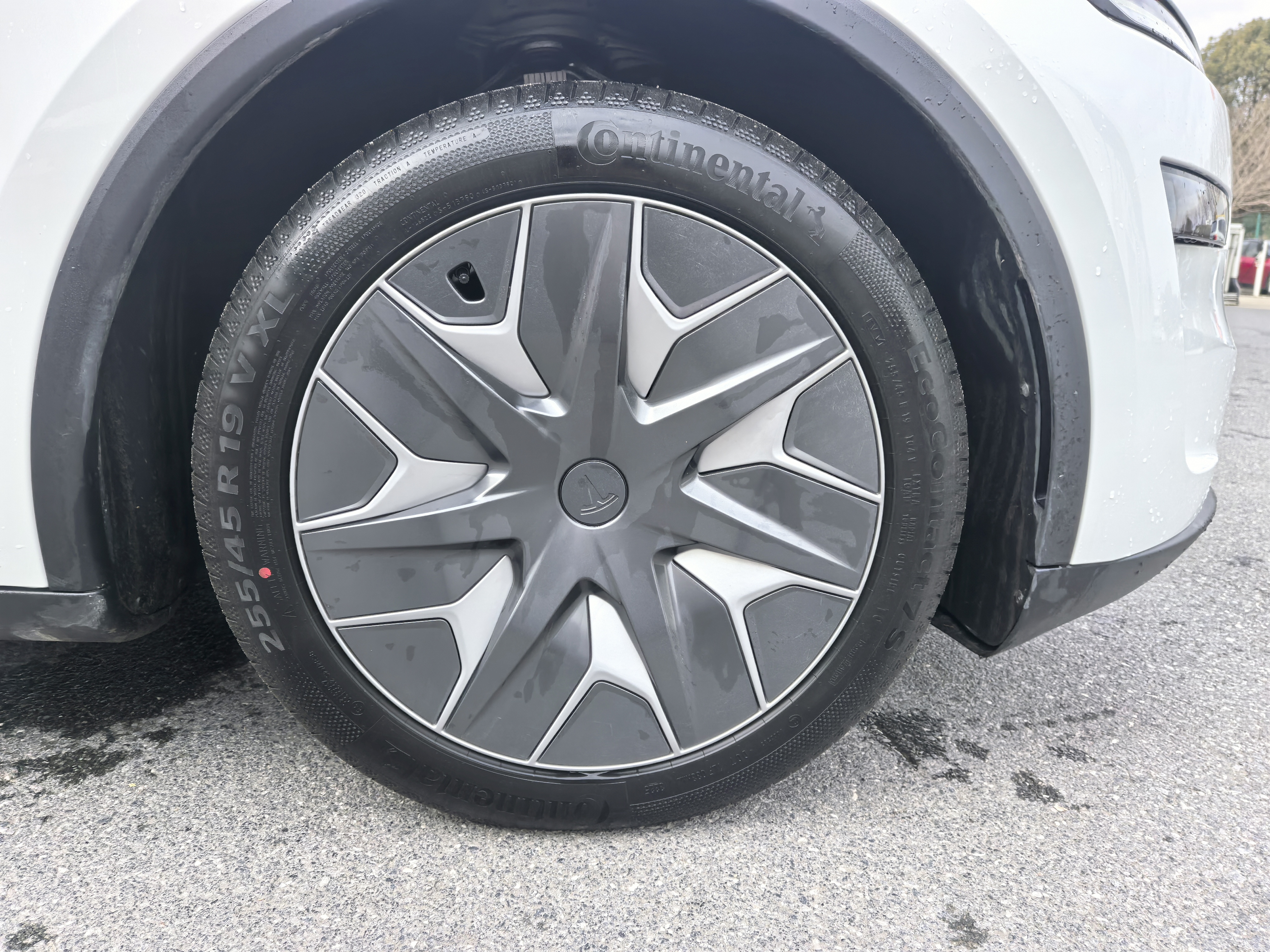 特斯拉 Model Y L 2025 汽车图片 #15