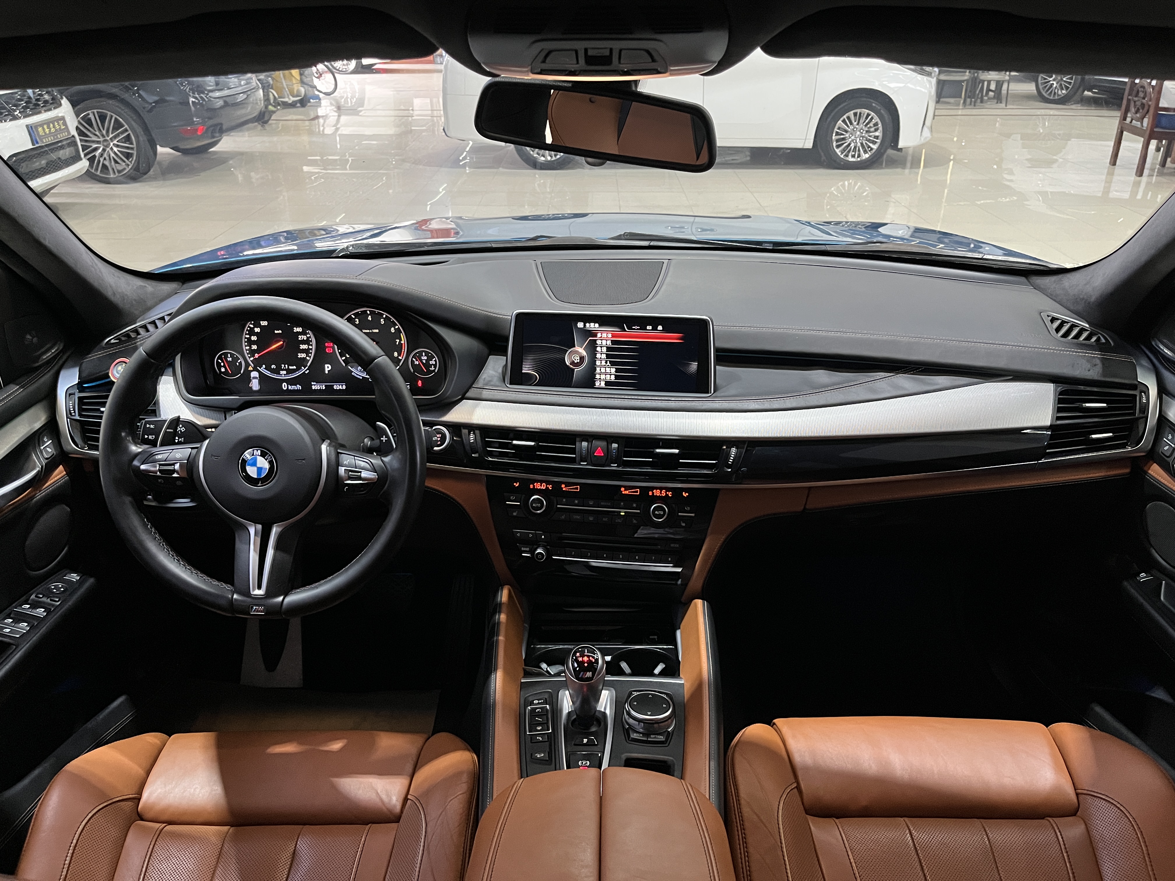 BMW X5 M 2016 car image #15