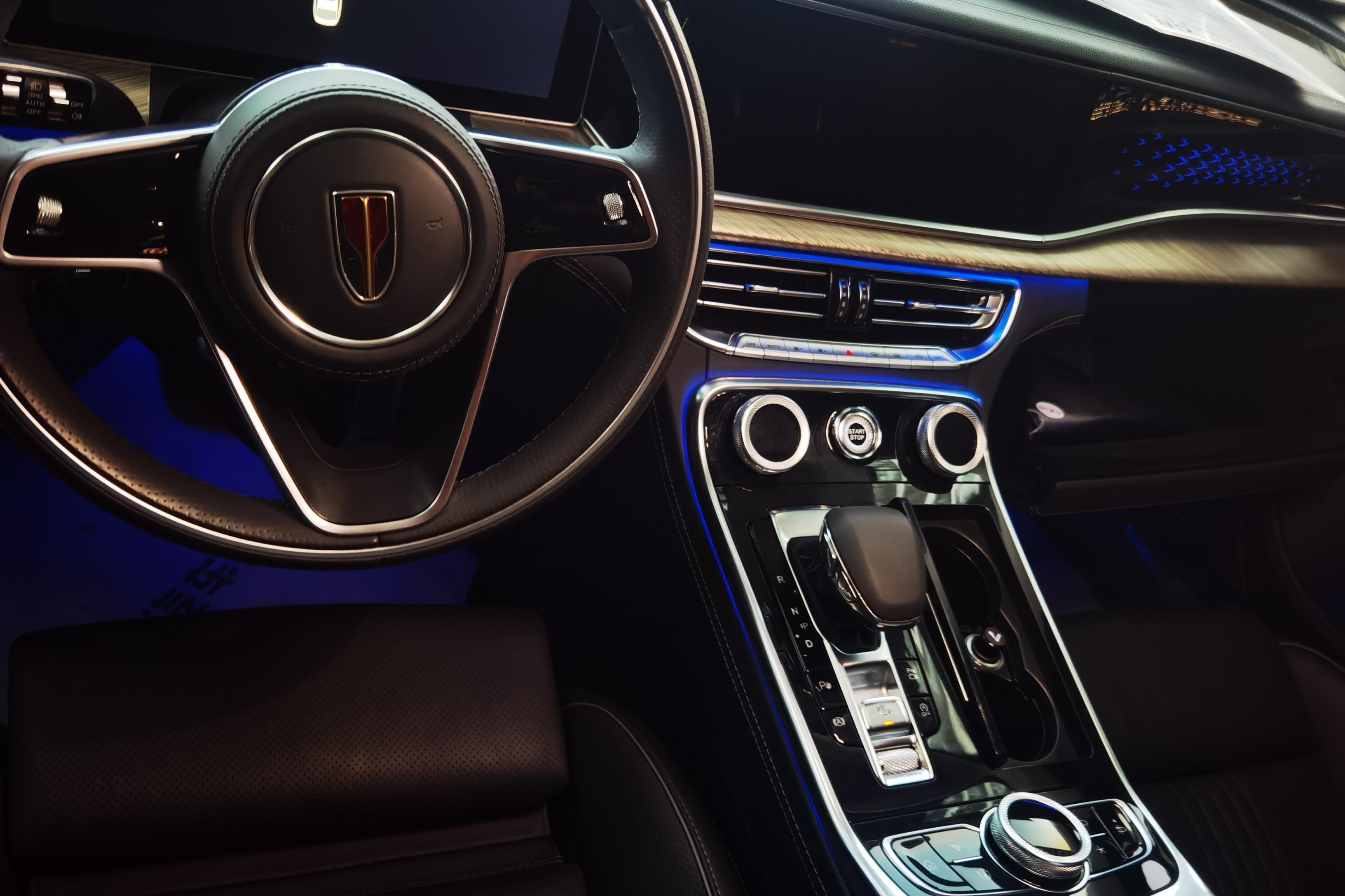 HongQi H9 2021 #15 HongQi H9 2021 immagine di auto #15