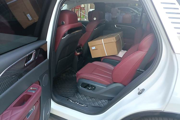 HongQi E-HS9 2023 car image #15