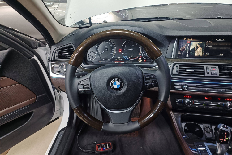 BMW 5 Series 2016 car image #15
