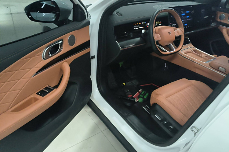 Neta L 2024 imagen de coche #15