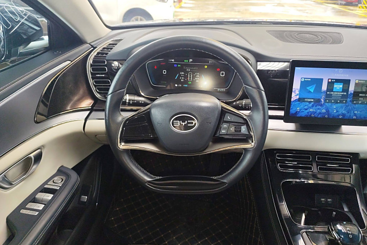 BYD e9 2021 car image #15