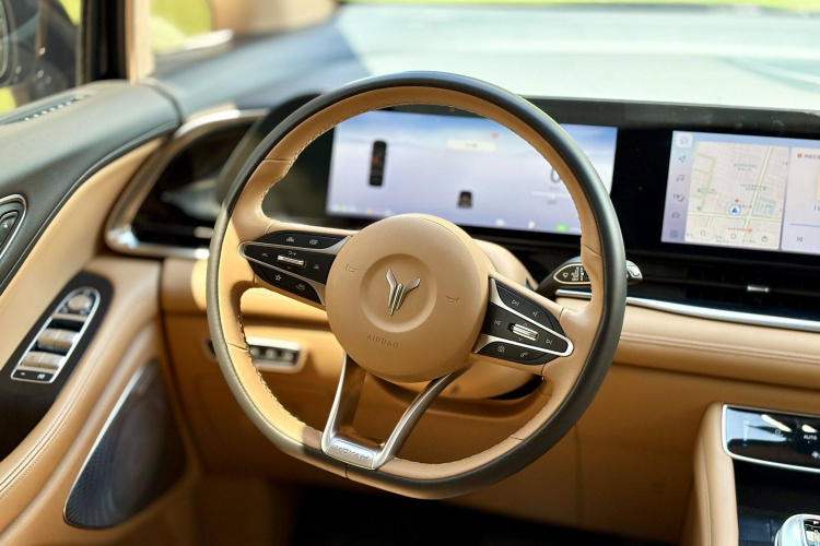 岚图汽车 岚图梦想家 2023 汽车图片 #15