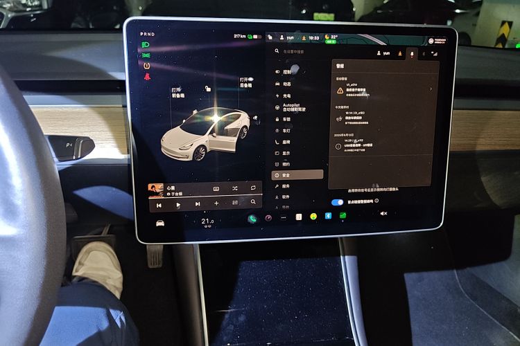 特斯拉 Model 3(进口) 2019 汽车图片 #15