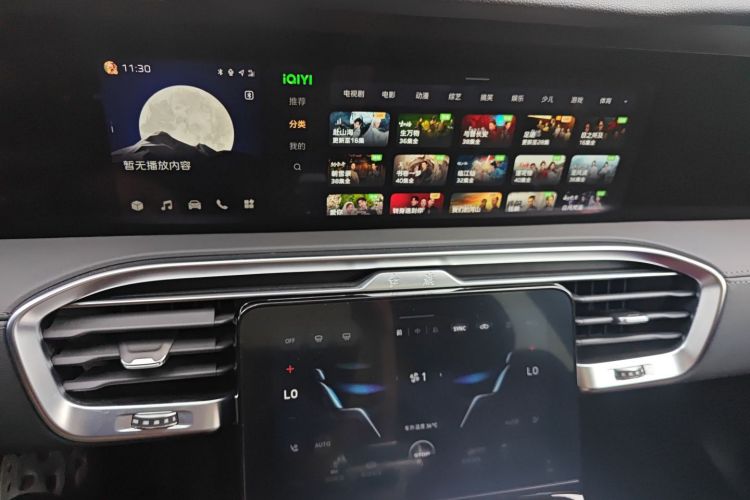 HongQi E-HS9 2022 car image #15