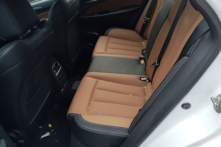 BYD Qin New Energy 2018 car image #15