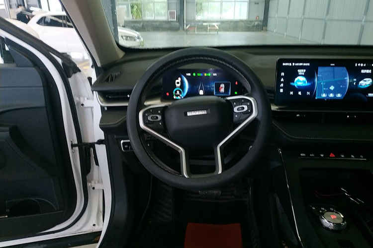 Haval H6 2022 immagine di auto #15