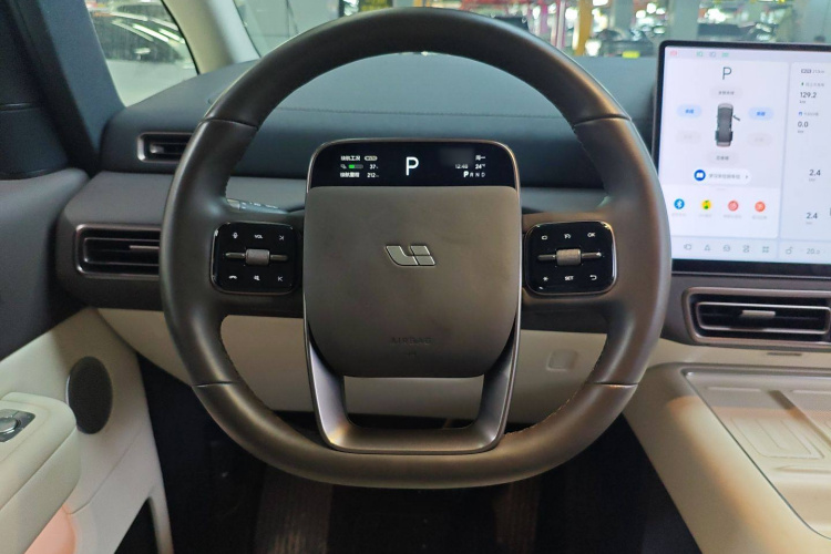 理想汽车 理想MEGA 2024 汽车图片 #15