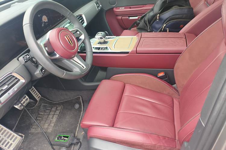 HongQi E-HS9 2023 immagine di auto #15