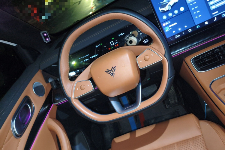 Neta L 2024 imagen de coche #15