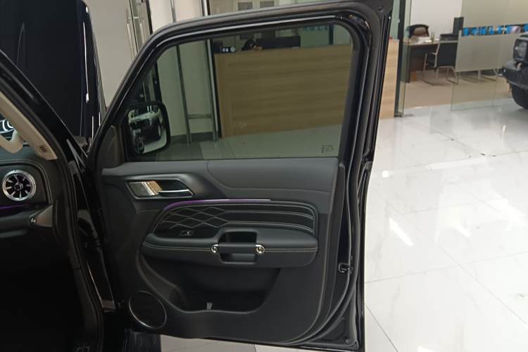 Tank 300 New Energy 2025 car image #15