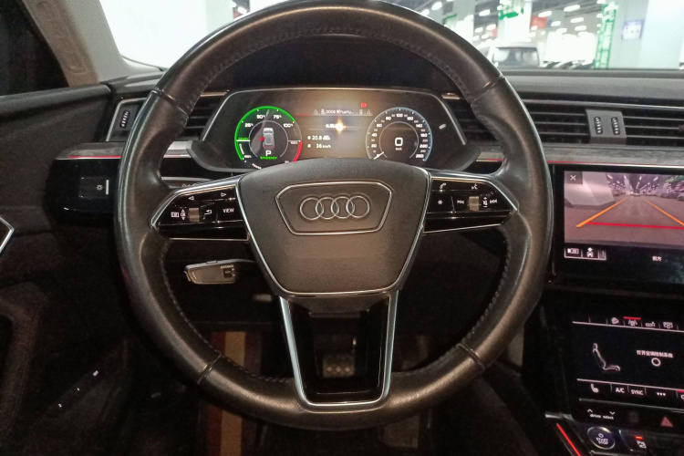 Audi e-tron (Imported) 2020 car image #15