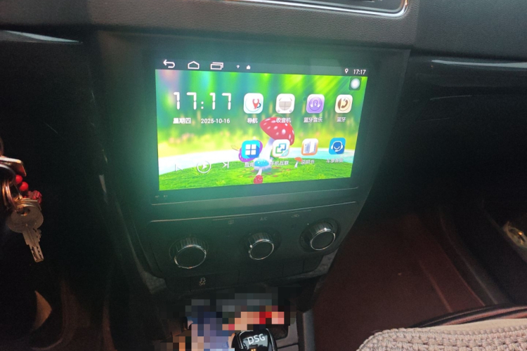 Skoda Yeti (Imported) 2018 car image #15