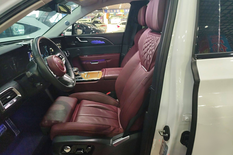 HongQi E-HS9 2021 immagine di auto #15