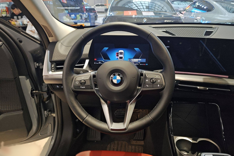 BMW X2 (Imported) 2024 imagen de coche #15