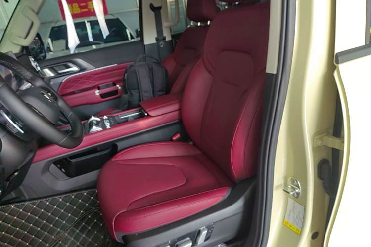 Tank 300 New Energy 2025 #15 Tank 300 New Energy 2025 car image #15