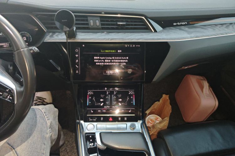 Audi e-tron (Imported) 2021 car image #15