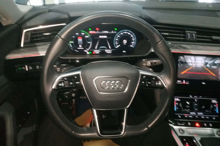 Audi e-tron (Imported) 2022 car image #15