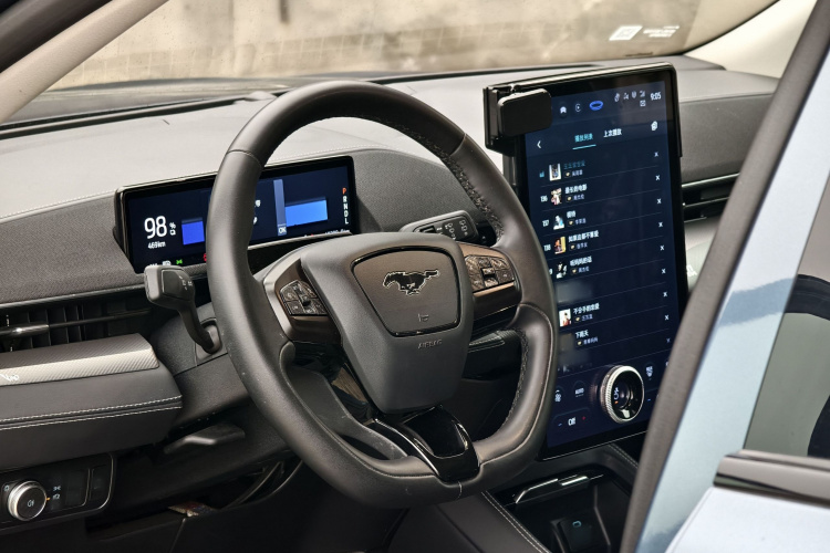 Ford Mustang Mach-E 2024 car image #15