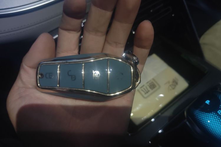 BYD Tang New Energy 2024 car image #15