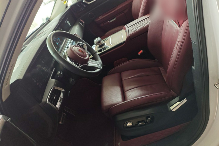 HongQi E-HS9 2021 immagine di auto #15