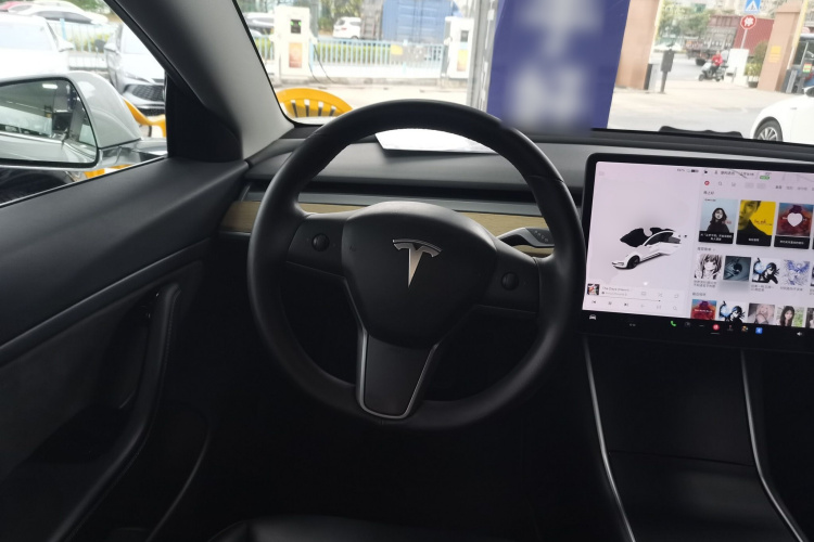 特斯拉 Model 3(进口) 2019 汽车图片 #15