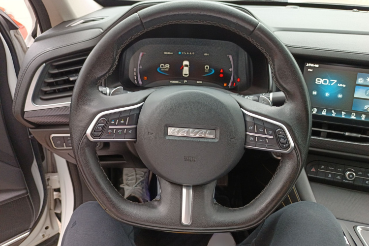 Haval F7x 2020 #15 Haval F7x 2020 car image #15