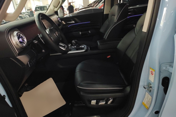 Tank 300 New Energy 2024 imagem de carro #15