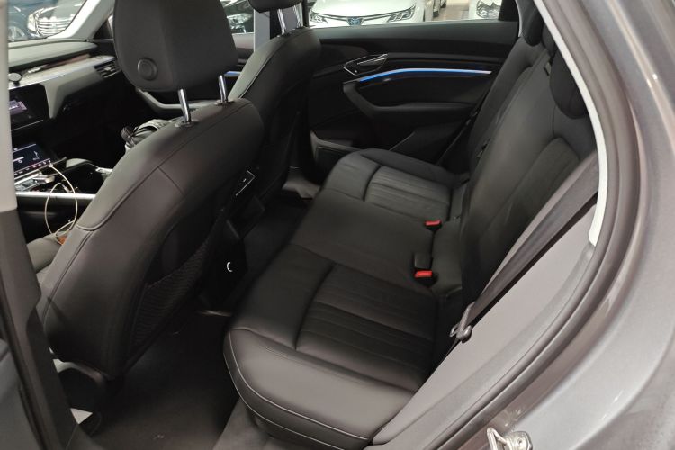 Audi e-tron (Imported) 2020 car image #15