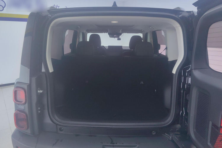 Haval Raptor 2023 car image #15