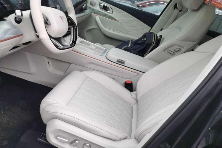 Neta L 2024 imagen de coche #15