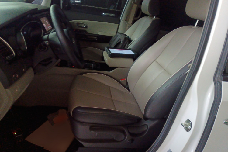 Kia Carnival (Imported) 2018 car image #15