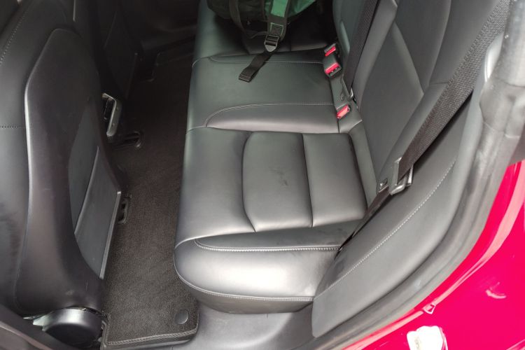 特斯拉 Model 3(进口) 2019 汽车图片 #15