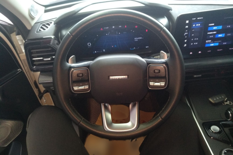 Haval Dargo 2023 #15 Haval Dargo 2023 car image #15