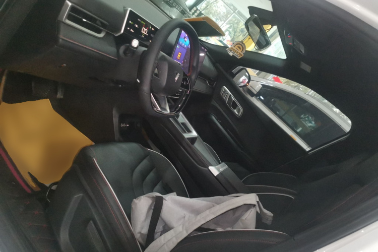 Neta X 2024 imagem de carro #15