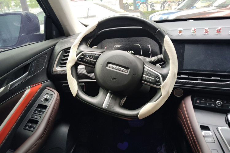 Haval F7x 2020 car image #15