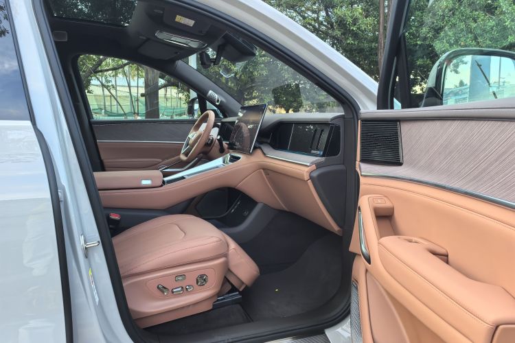 Denza N9 car image #15