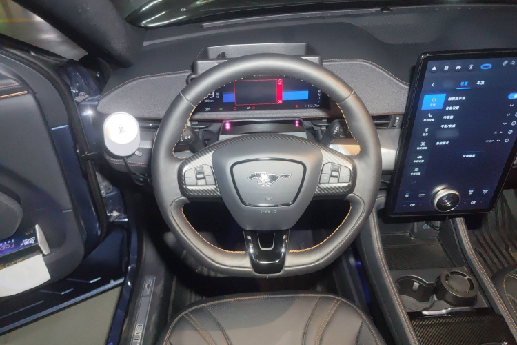 Ford Mustang Mach-E 2022 car image #15