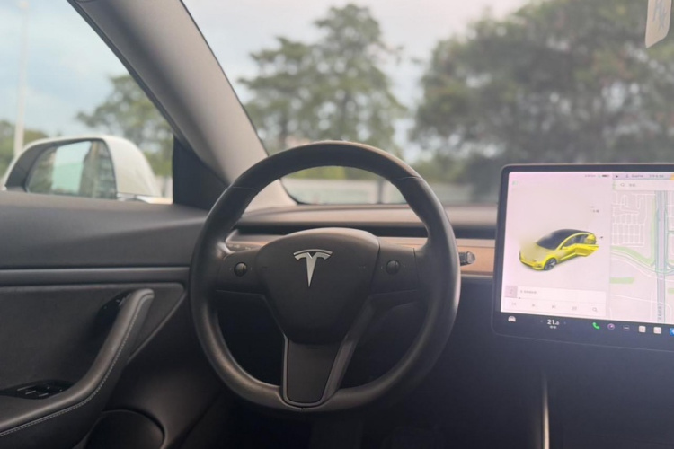 特斯拉 Model 3(进口) 2019 汽车图片 #15