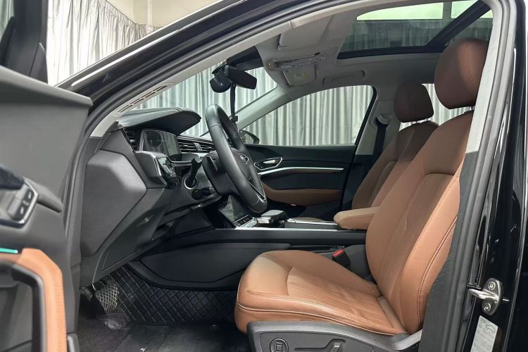 Audi e-tron (Imported) 2020 car image #15